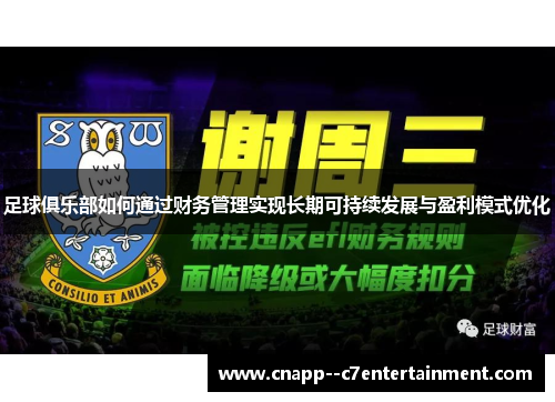 足球俱乐部如何通过财务管理实现长期可持续发展与盈利模式优化