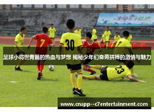 足球小将世青篇的热血与梦想 揭秘少年们奋勇拼搏的激情与魅力 足球小将世青篇的热血与梦想 揭秘少年们奋勇拼搏的激情与魅力