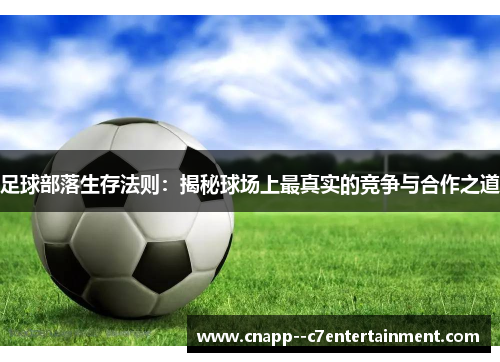 足球部落生存法则：揭秘球场上最真实的竞争与合作之道